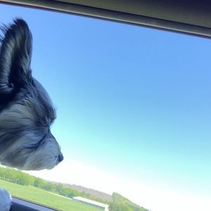 Meet your Posher, Heidi